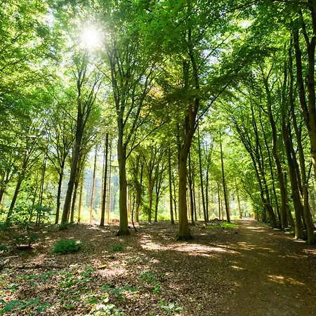 Group-friendly In Walk To 013 Appartement Tilburg