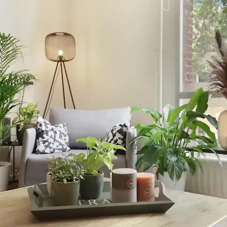 Group-friendly In Walk To 013 Appartement Tilburg